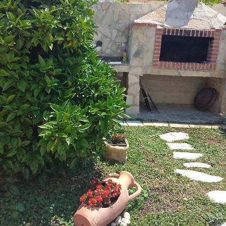 Oliva Apartments 1 Lozica Dubrovnik Dış mekan fotoğraf